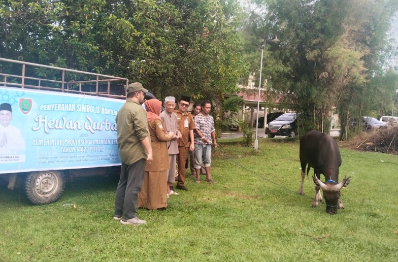 Pemkab Kotim Terima 38 Ekor Sapi Kurban Bantuan dari Pemprov Kalteng