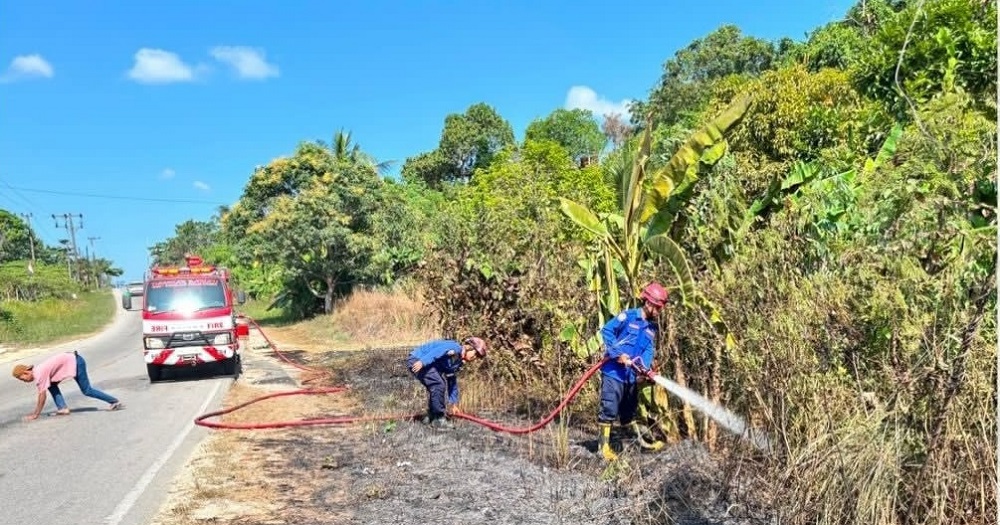 ODGJ Beraksi, Lahan di Pinggir Jalan Babulu Darat Dilalap Api, Untung Damkar Bisa Memadamkan