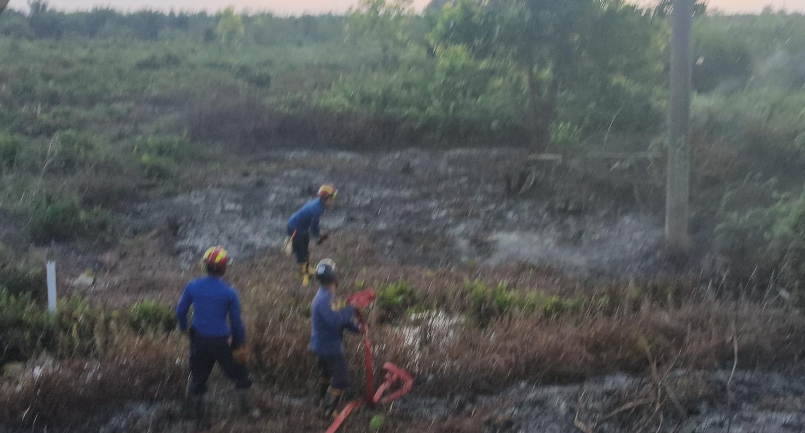 Api Kembali Muncul di Baamang Hulu, Rentetan Kebakaran Lahan Jadi Sinyal Bahaya