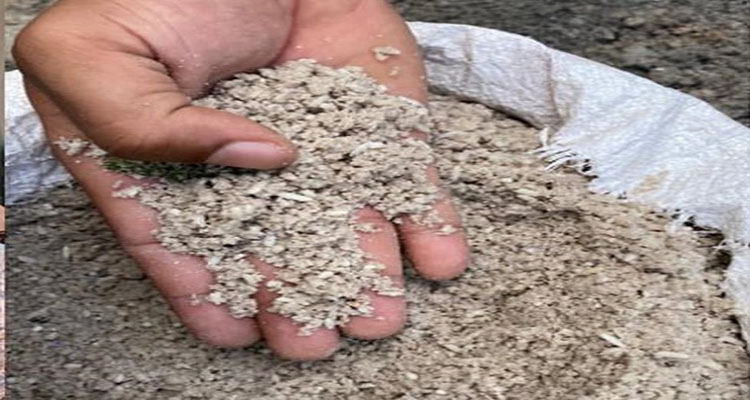 Rugi Ratusan Ribu Rupiah, Pedagang Nasi Kuning di Sampit Tertipu Beras Berisi Pasir