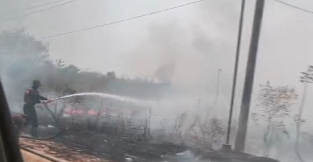 Membara di Siang Bolong! Karhutla Lahap Lahan Pinggir Jalan Penyang