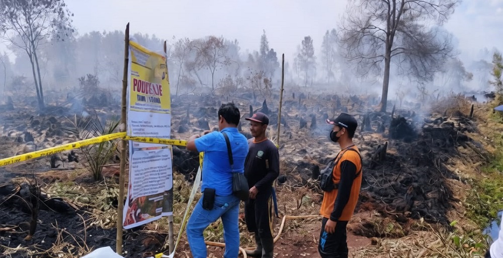 Seru Nih! Polres Kotim Naikkan Karhutla di Lahan Sitaan Satgas PHK di Desa Camba ke Penyidikan