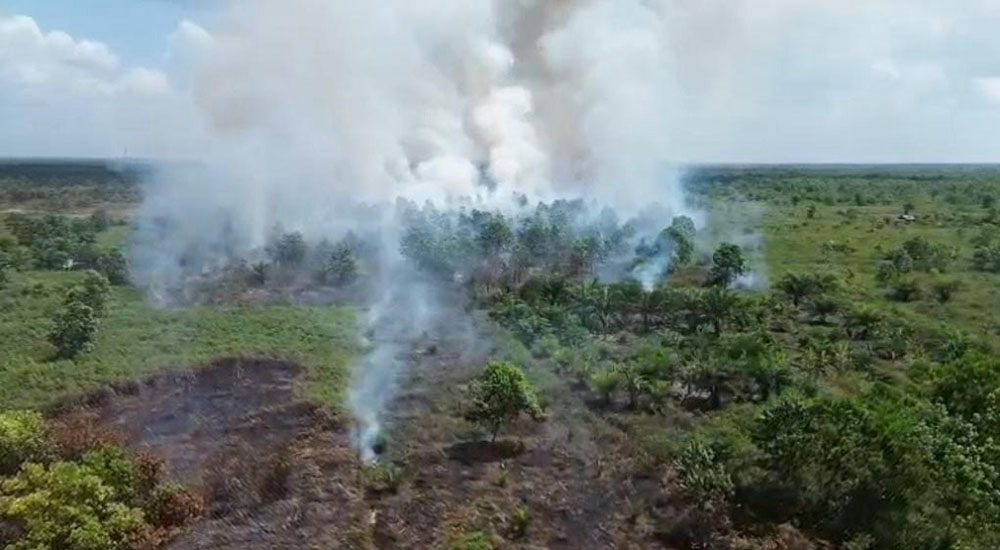 Seranau Jadi Titik Terparah Karhutla Kotim, 703,5 Hektare Lahan Hangus