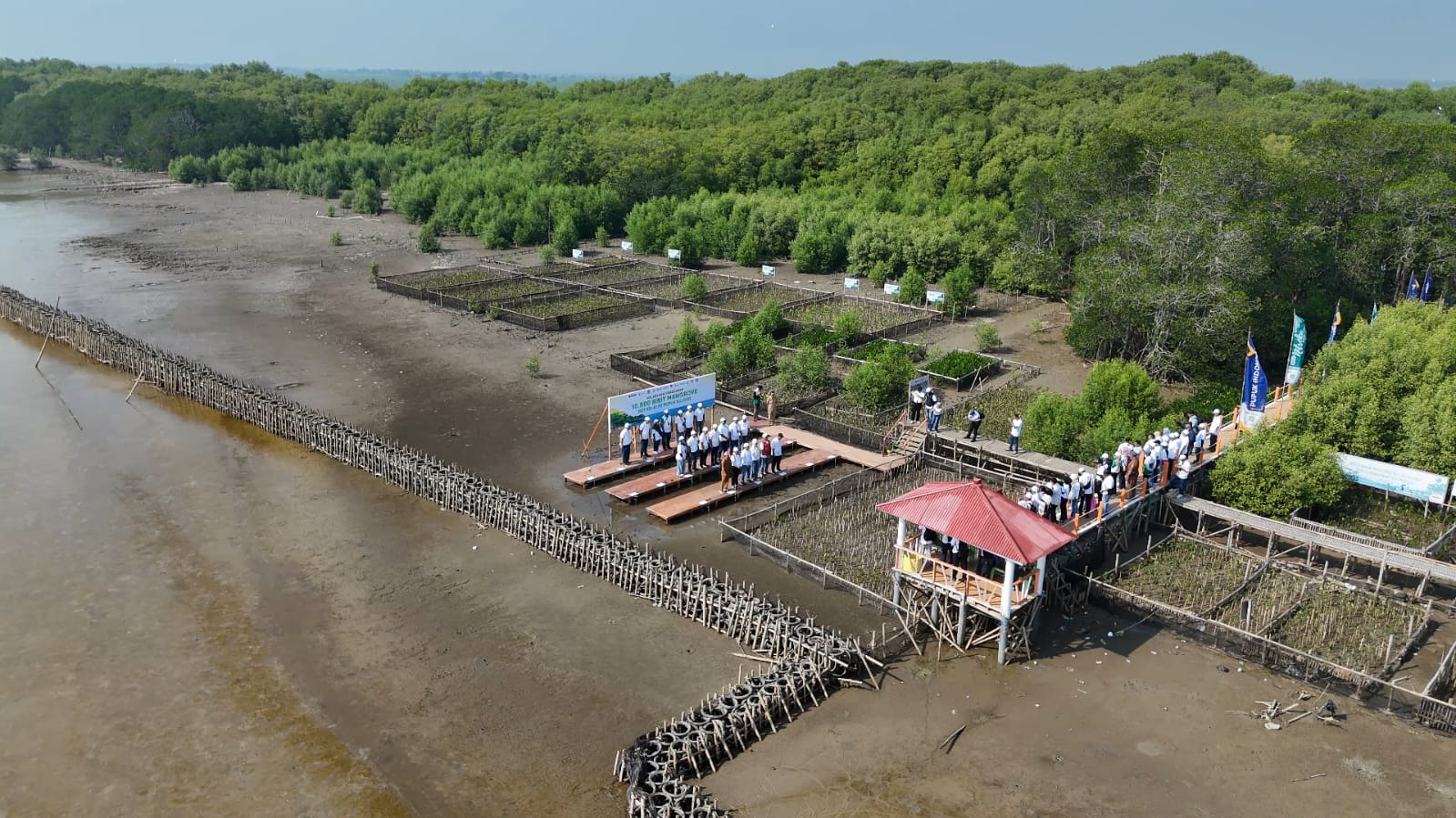Selamatkan Desa Nelayan, Seperti Ini Upaya Restorasi Pesisir Utara Karawang Ala Pupuk Kujang