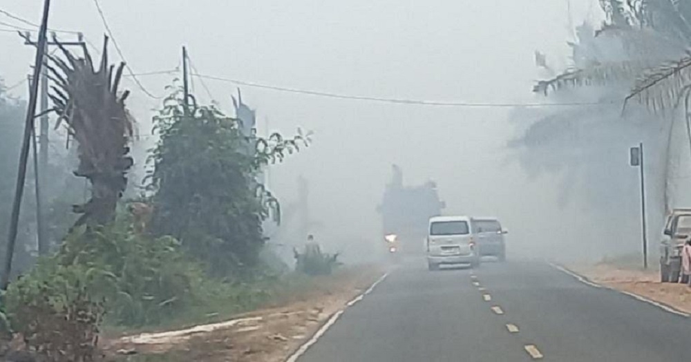 Tiba-tiba Mobil Merayap di Jalur Sampit-Kotabesi, Macet? Bukan, Ini Pemicunya