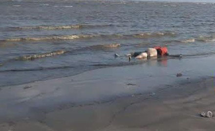 Jasad Berjaket Pelampung Muncul di Pesisir Seruyan, Identitas Masih Ditelusuri