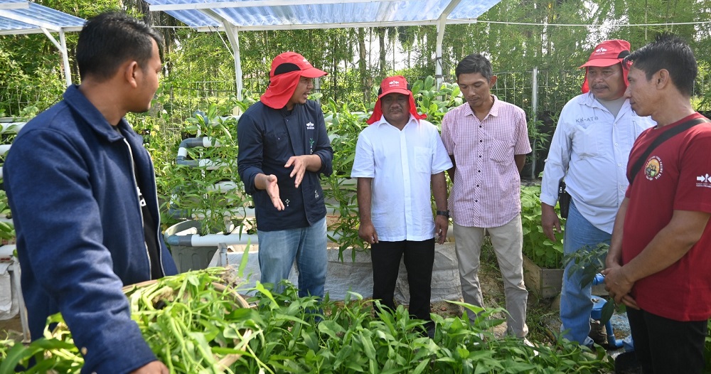 Kebun Harmoni Tumbuhkan Harapan Baru di Huntara Aceh Tamiang