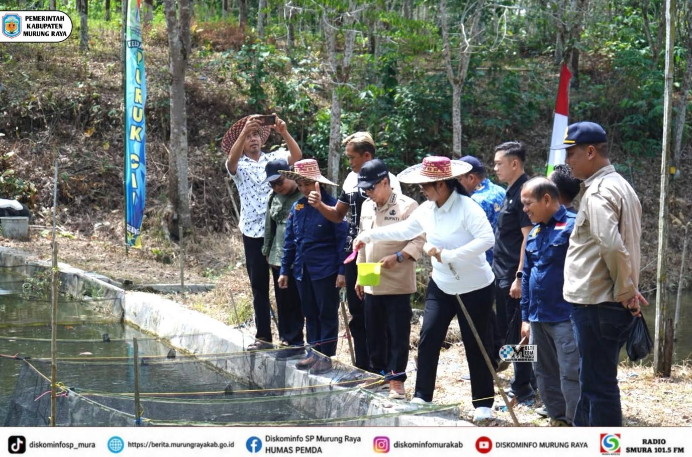 Heriyus Sebut Panen Nila Jadi Penggerak Ekonomi Masyarakat