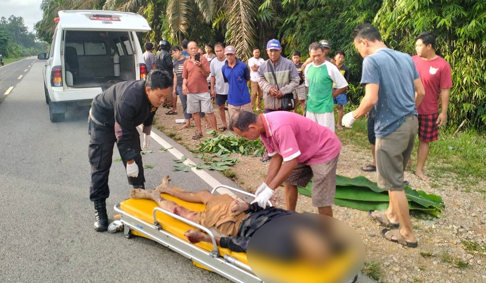 Jadi Korban Tabrak Lari, Pejalan Kaki Asal Belitung Meninggal di Parindu