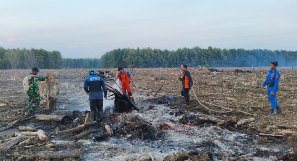 Luar Biasa! Lahan Empang 5 Hektare Pun Ikut Terbakar di Babulu Laut, Untung Bisa Dipadamkan