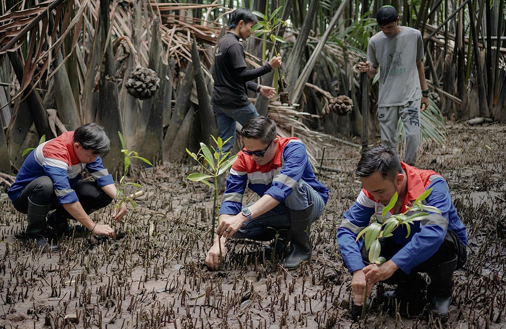 Dukung Net Zero Emission 2060, Elnusa Petrofin Luncurkan Program Hutan Petrofin di Belitung