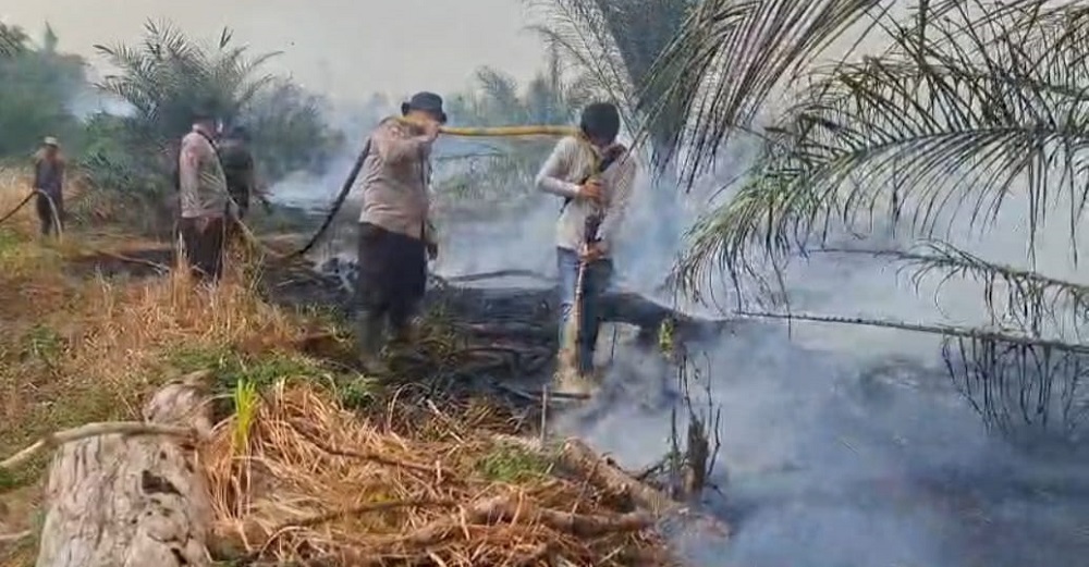 Derita Warga Pulau Hanaut, Karhutla Kian Mengganas, Sumber Air Makin Mengering