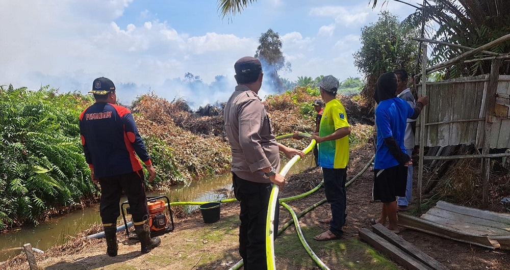 BPN Pastikan Tak Ada Korban Jiwa dalam Karhutla Hebat di Paser dan Kutai Kartanegara