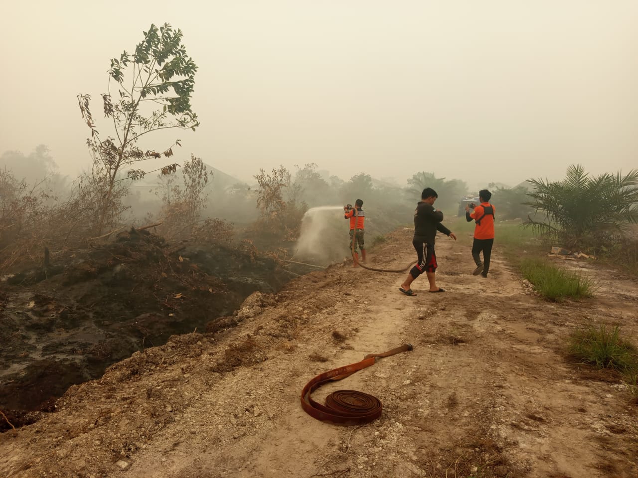 Satgas Karhutla Basahi Lahan Bekas Terbakar di G. Obos XIX