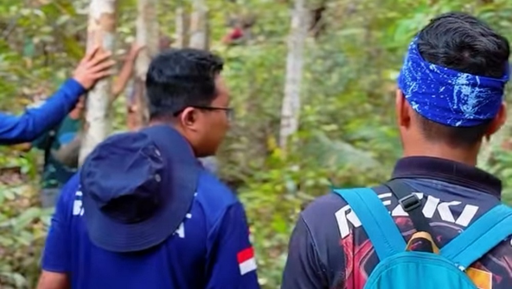 Sudah 4 Hari Tim SAR Bergerak, Jejak Wanita Malawaken yang Hilang di Hutan Belum Ditemukan
