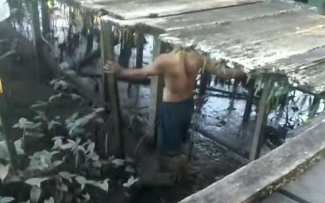 Fenomena Udang di Sungai Mentaya Bikin Heboh, Dugaan Pencemaran Sungai Disorot