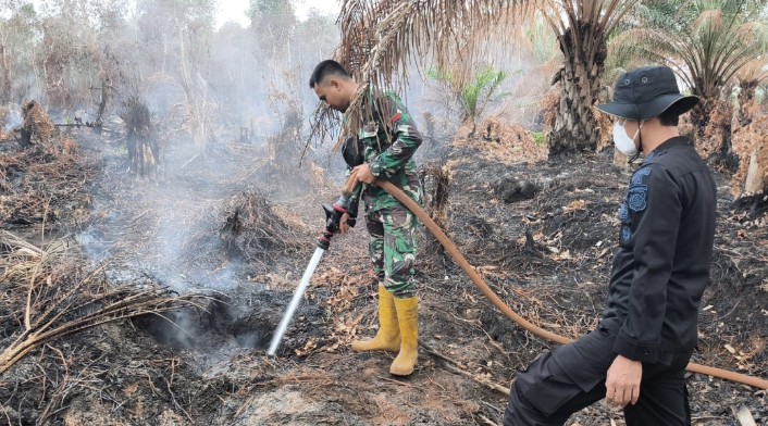 Tim Gabungan Patroli Karhutla Pantau Lokasi Bekas Kebakaran di Dua Wilayah Kapuas