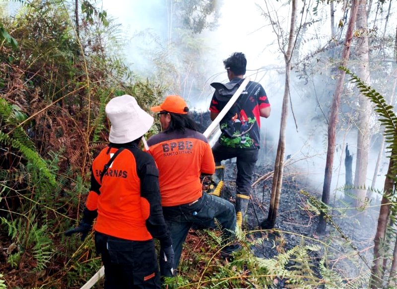 Barito Utara Tetapkan Siaga Darurat Karhutla