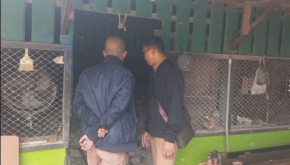 Keresan Warga Akhirnya Direspons, Usaha Ayam di Baamang Tengah Sepakat Pindah 7 Hari