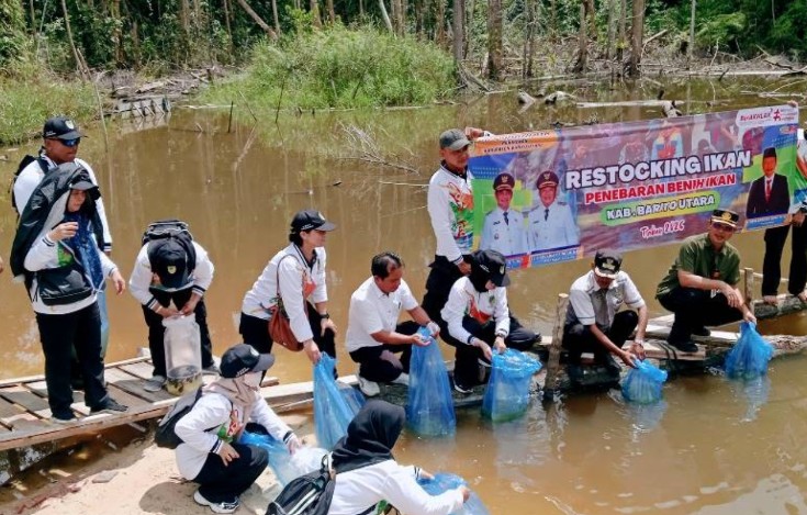 DKPP Barito Utara Restocking Ikan Jaga Ekosistem Perairan