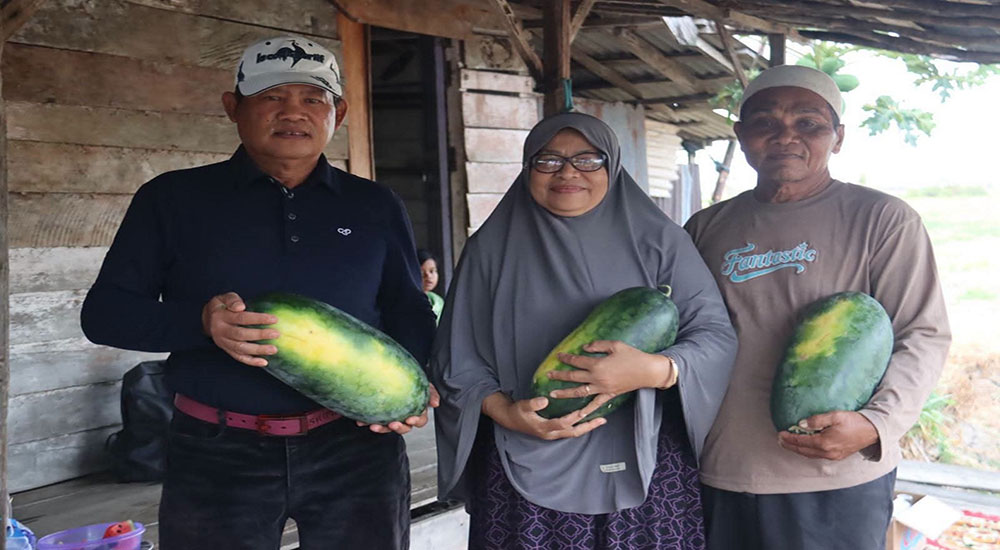 Ganti Musim Tetap Produktif, Bupati Seruyan Apresiasi Petani Bertanam Semangka di Lahan Sawah