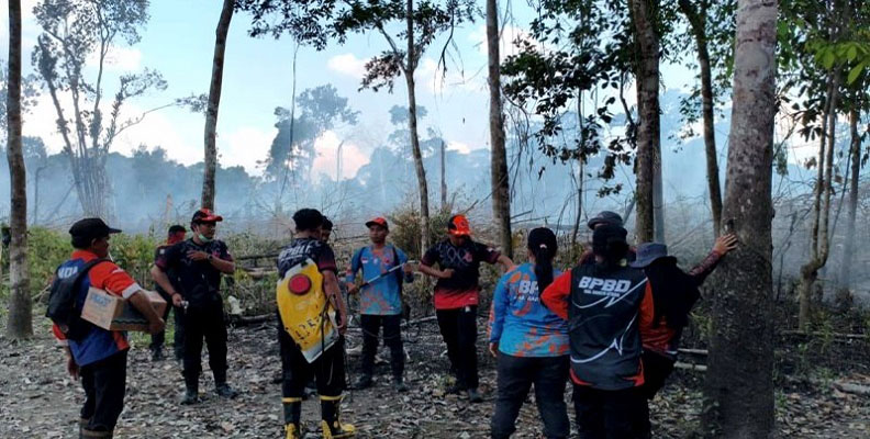 Lahan 1,37 Hektare di Desa Bintang Ninggi II Terbakar, Tim Gabungan Gerak Cepat Padamkan Api