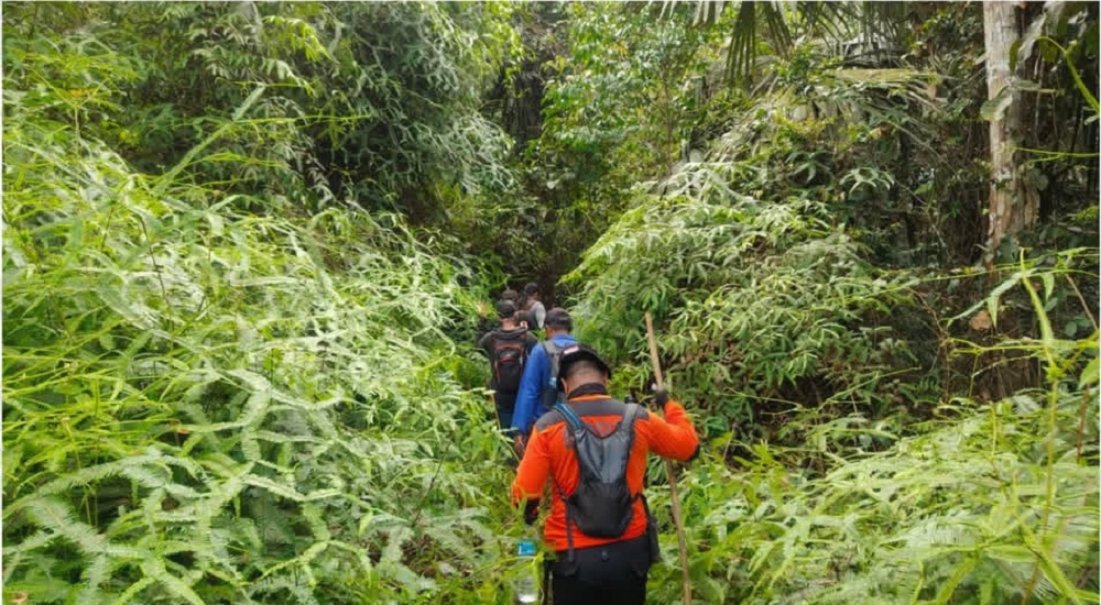 Niat Hati Menjerat Binatang, Pria Telemow Hilang di Hutan HPH Perusahaan Adik Prabowo, 