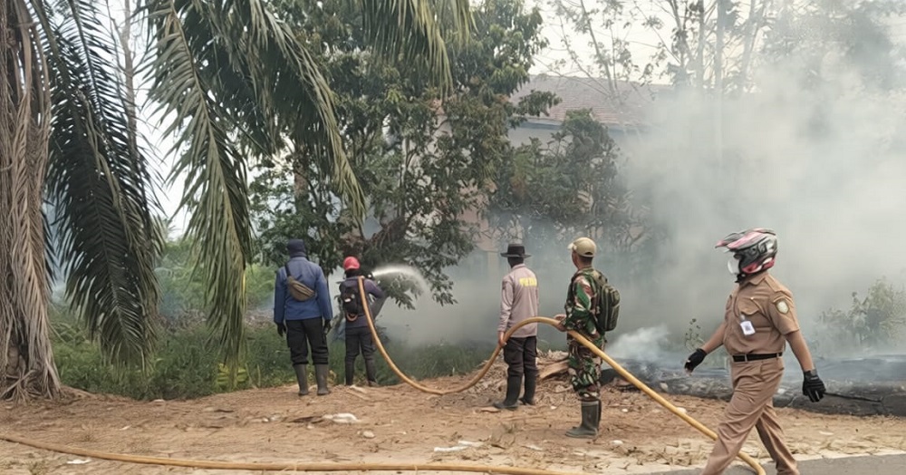 Api Mengamuk Dekat Permukiman, Hutan Jaya Kelapa di Kotawaringin Timur Terbakar