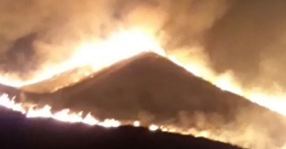 Jangan Dulu ke Bromo, Kebakaran Hutan di Kawasan Kaldera Semakin Meluas