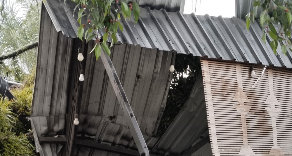Pohon Beringin Tumbang di Taman Kota Sampit, Sebuah Kafe Jadi Korbannya