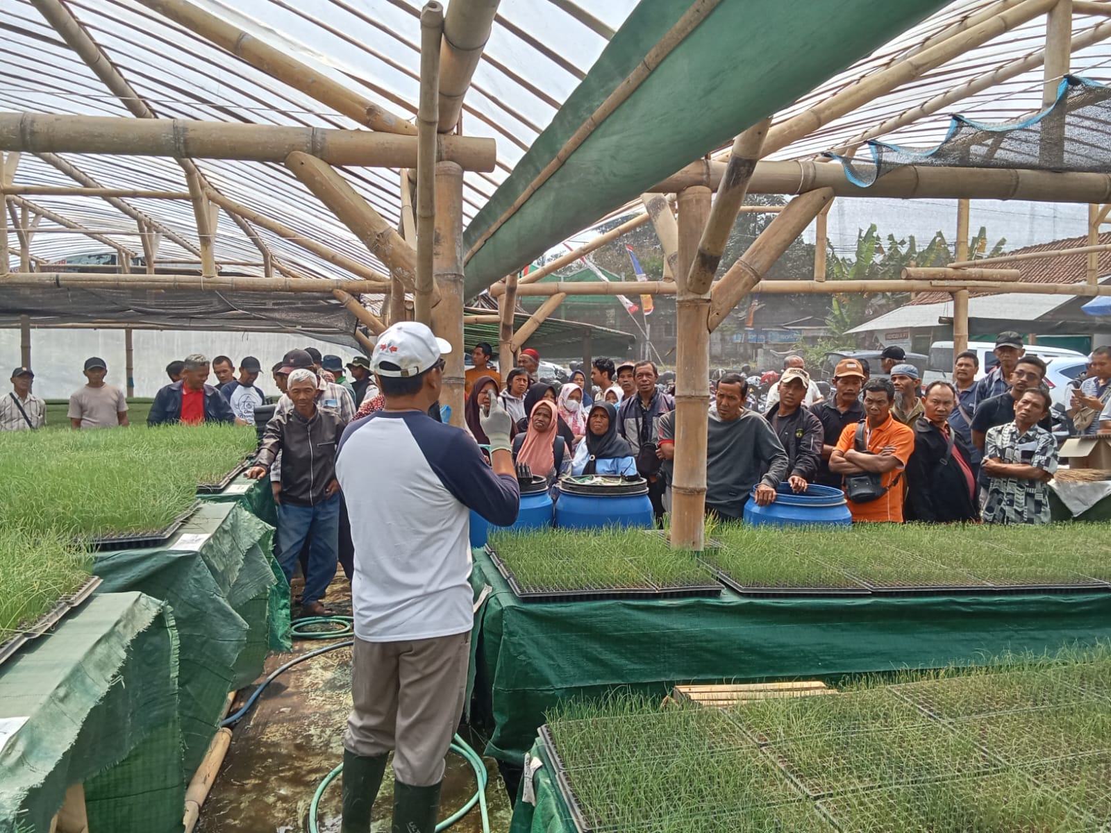 EWINDO Dorong Kemandirian Petani Bawang Merah di Tengah Tantangan Iklim dan Budidaya