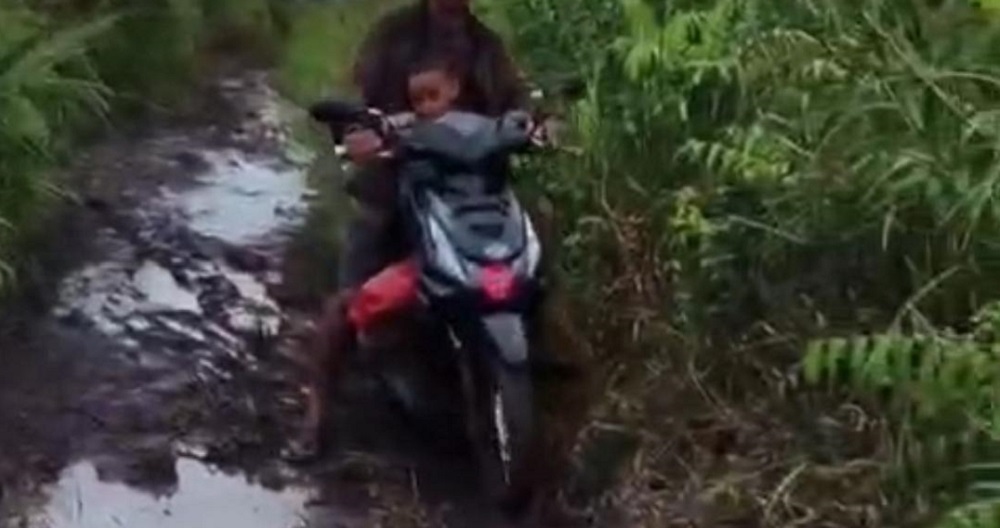 Bupati Kotim Boleh Silih Berganti, yang Abadi Hanyalah Kerusakan Jalan Desa Soren