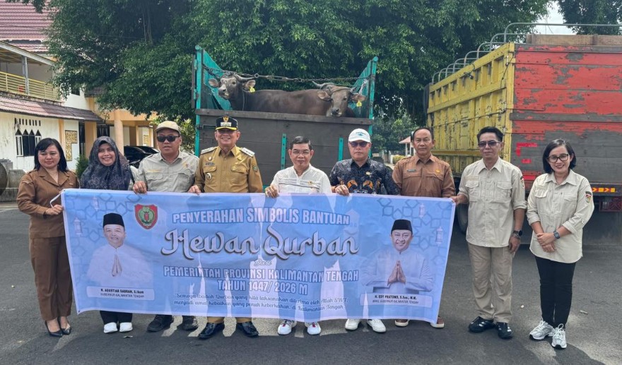 Jelang Iduladha Pemkab Bartim Terima 20 Ekor Sapi Kurban dari Pemprov Kalteng