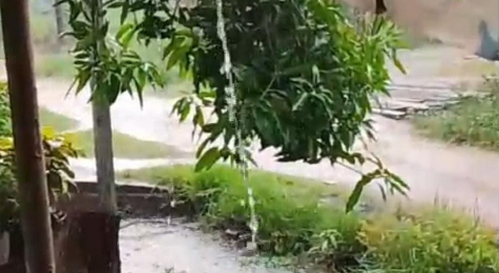 Hujan Mulai Basahi Kotawaringin Timur, Begini Euforia Warga Menyambutnya