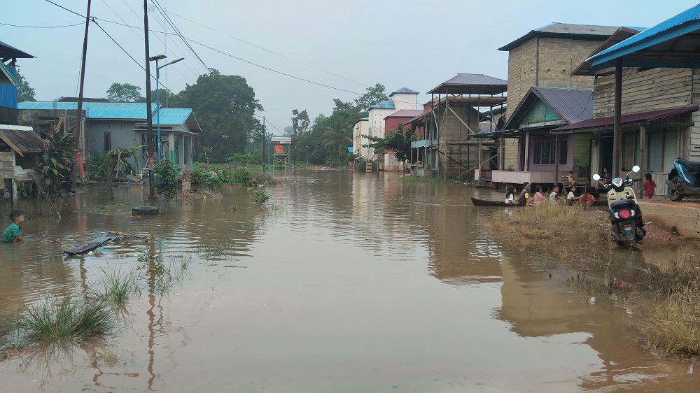 Banjir Kepung Wilayah Utara Kotawaringin Timur, Pemicunya Air Kiriman dari Hulu Sungai Mentaya