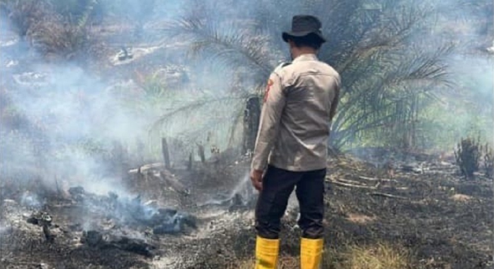 Wah! Bakal Ada Satu Perusahaan di Banjar Jadi Tersangka Kasus Karhutla?