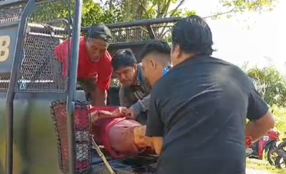Sadis! Mei Mei si Tukang Pijat Jadi Korban Penganiayaan di Jalan Trans Kalimantan