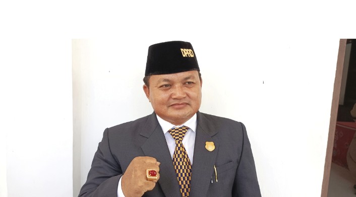 Ketua DPRD Kapuas Dukung Kalteng Ditetapkan sebagai Bencana Nasional Karhutla