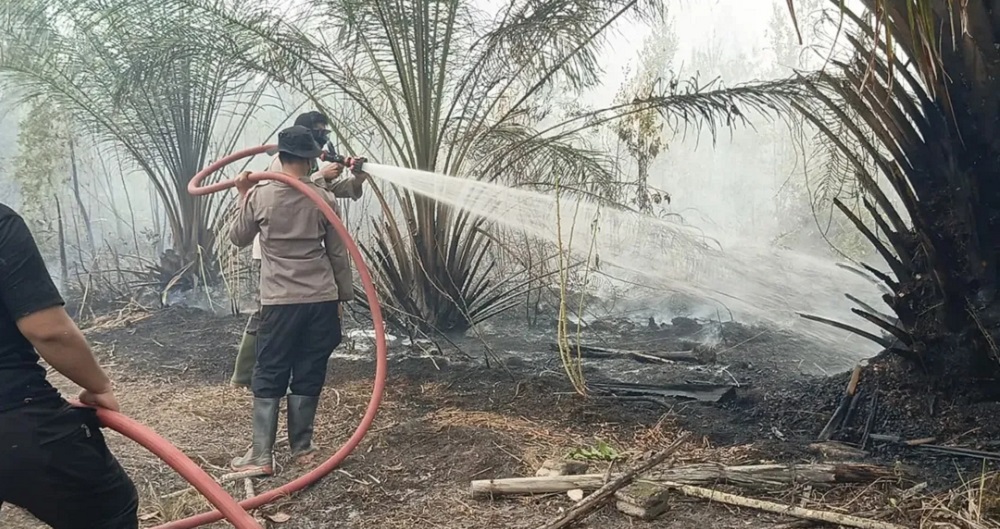 Gercep! Satgas Karhutla Polresta Palangka Raya Padamkan Titik Api di Sinar Kahayan