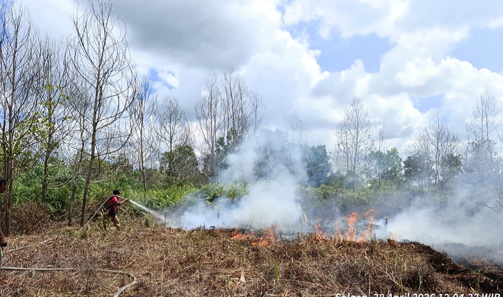 Terik Menyengat! Karhutla Mengganas di Mentawa Bari Hilir, Dua Titik Api Meluas