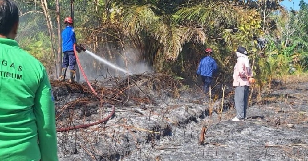 Karhutla di Labangka Barat, Seorang Pemilik Lahan Terluka Saat Padamkan Api