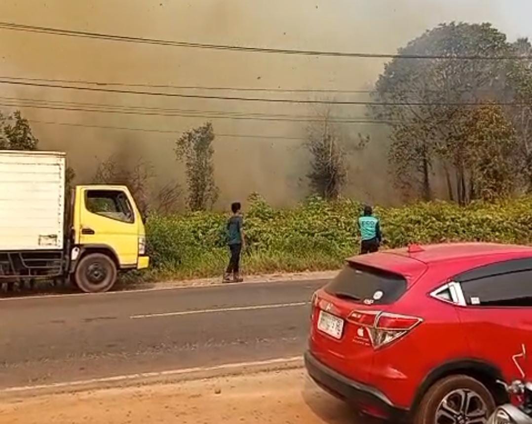 Mencekam! Api Karhutla Mengganas di Tepi Jalan Tjilik Riwut Sampit-Kota Besi, Warga Terjebak Kepungan Asap