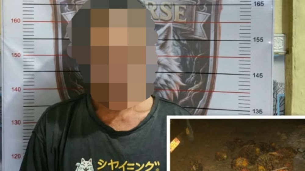 Aksi Ninja Sawit Diterkam Tim Serigala Polisi, Tapi Satu Pelaku Masih DPO