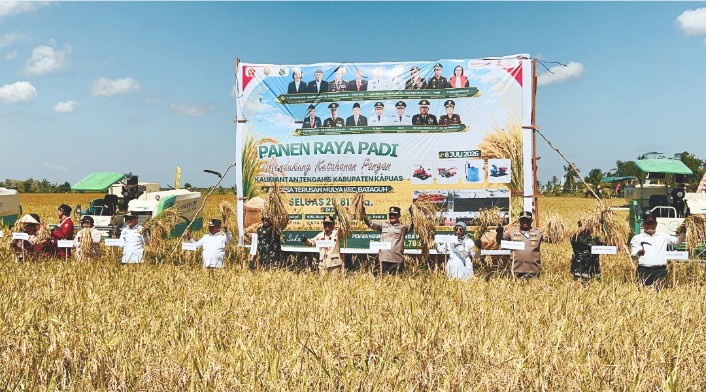 Gubernur Kalteng Pimpin Panen Raya 25.817 Hektare Padi di Kapuas