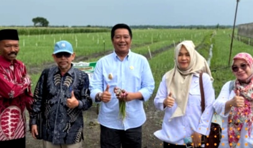 Studi Tiru ke Nganjuk, Barito Utara Fokus Tingkatkan Produktivitas dan Kualitas Hasil Pertanian