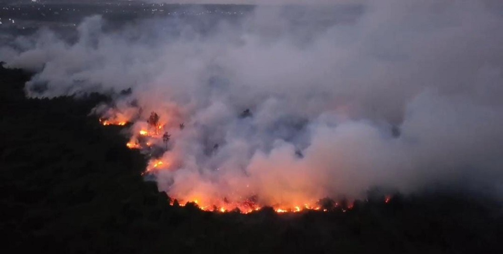 Karhutla Kotawaringin Timur Paling Parah di Kalteng, 21 Ribu Hotspot dan 2.524 Hektare Terbakar