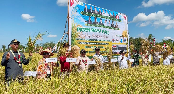 Panen Raya 25.817 Hektare, DPRD Kapuas Apresiasi Petani