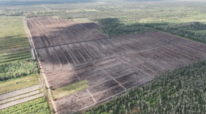 Cetak Sawah di Kapuas Telah Terealisasi 4.491,30 Hektare atau 76,96 Persen