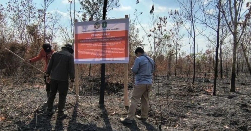 Dinilai Lalai, 6 Perusahaan di Kalimantan Dapat Sanksi Kemenhut, Satu di Antaranya di Kalteng