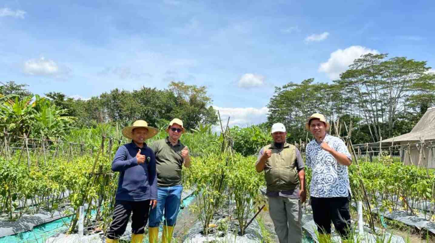 Mahasiswa BINUS @Bandung Bangun Bisnis Pertanian, Jangkau 59 Mitra di 9 Kota